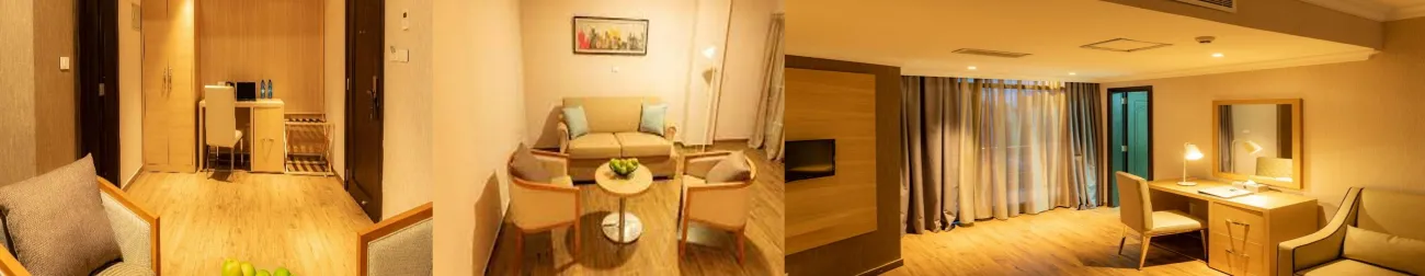 Robi Hotel Adama_Confort